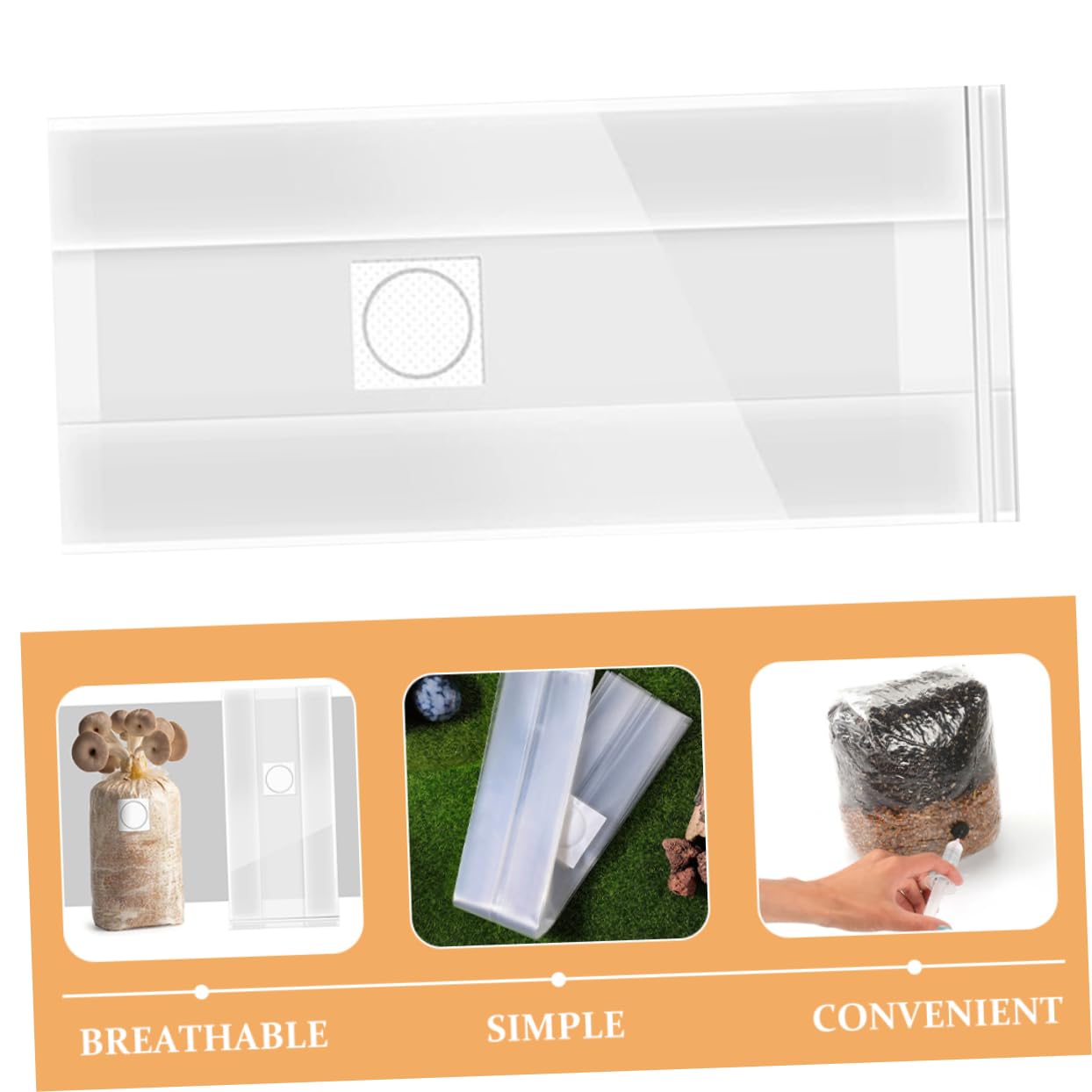 De Culture De Champignons, 50 Pièces, De Grains De Champignons, De Culture De Champignons pour Kits De Culture De Champignons Et Projets De Mycologie