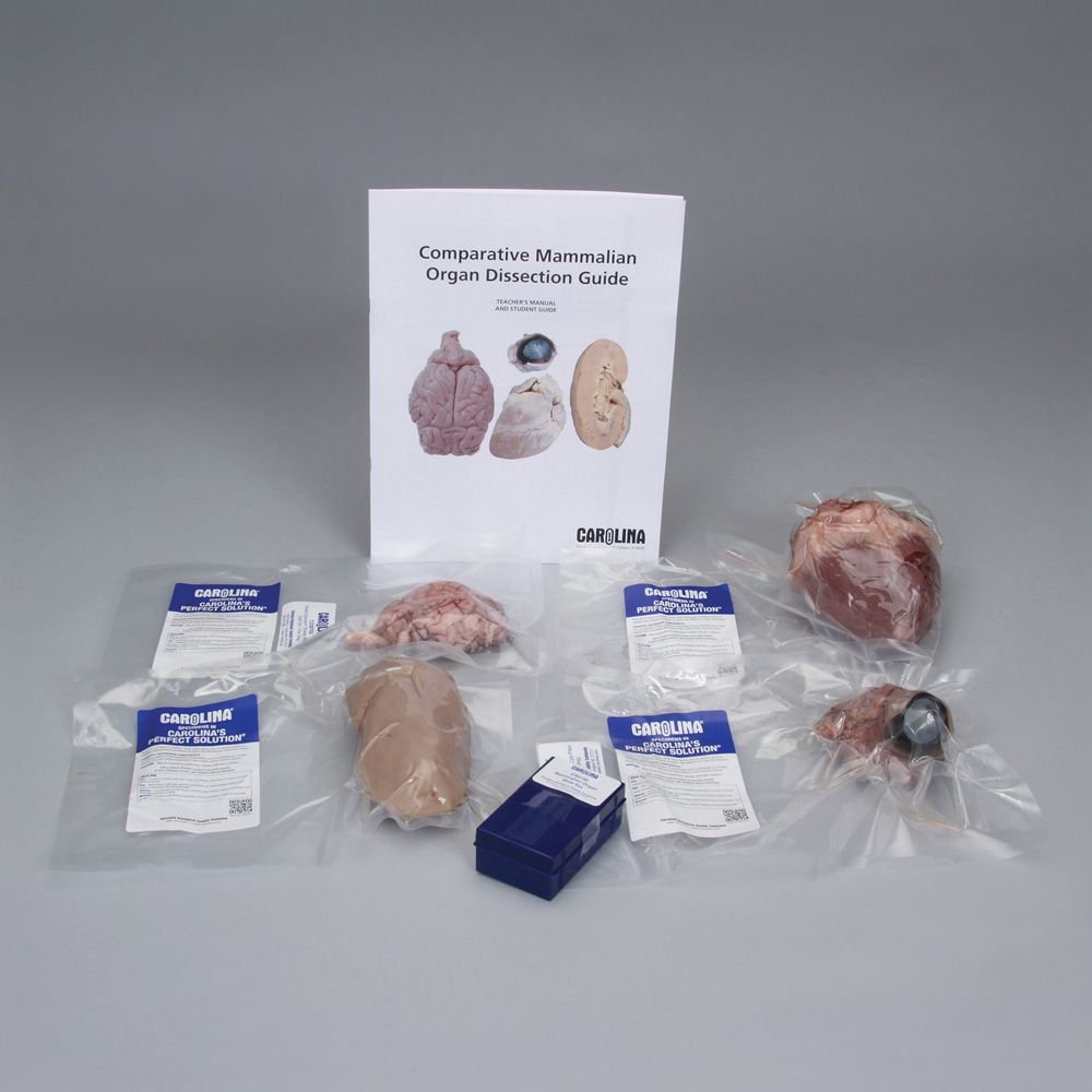 Comparative Mammalian Organ Dissection Kit