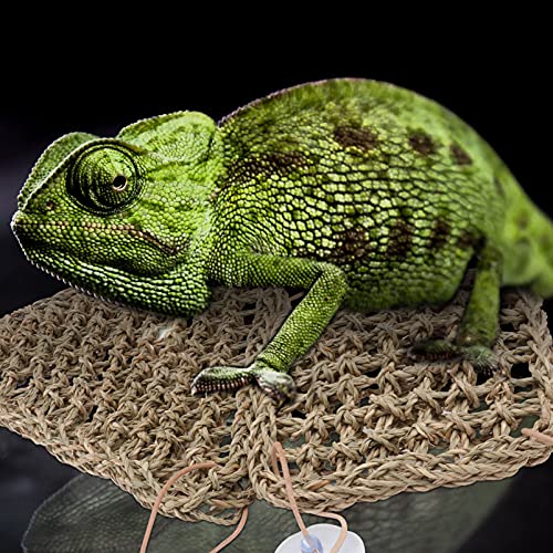 POPETPOP Rede- Dragão Barbudo Espreguiçadeira Escada Dragão Barbudo Lagarto Réptil Acessórios para G