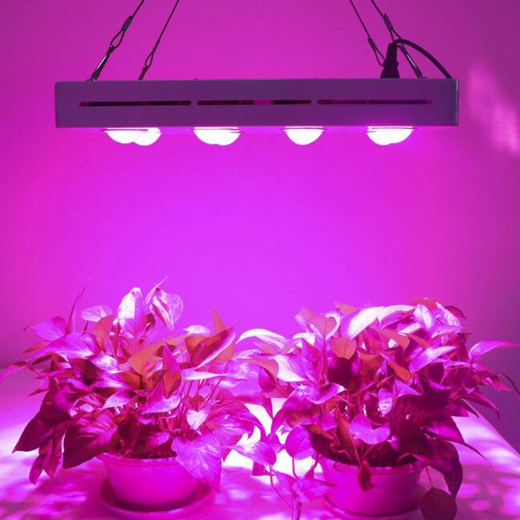 Cultivez la lumière, la lumière des Plantes d'intérieur, la lumière de Croissance LED 600W avec des lumières de Croissance Bleues Rouges pour Les Plantes d'intérieur, Les Lampes de croissanc