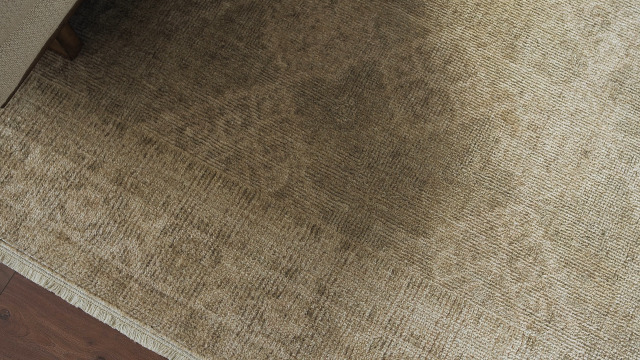 Amazon.com: Livabliss x Galey Alix Fetscher IV Vintage Damask Area