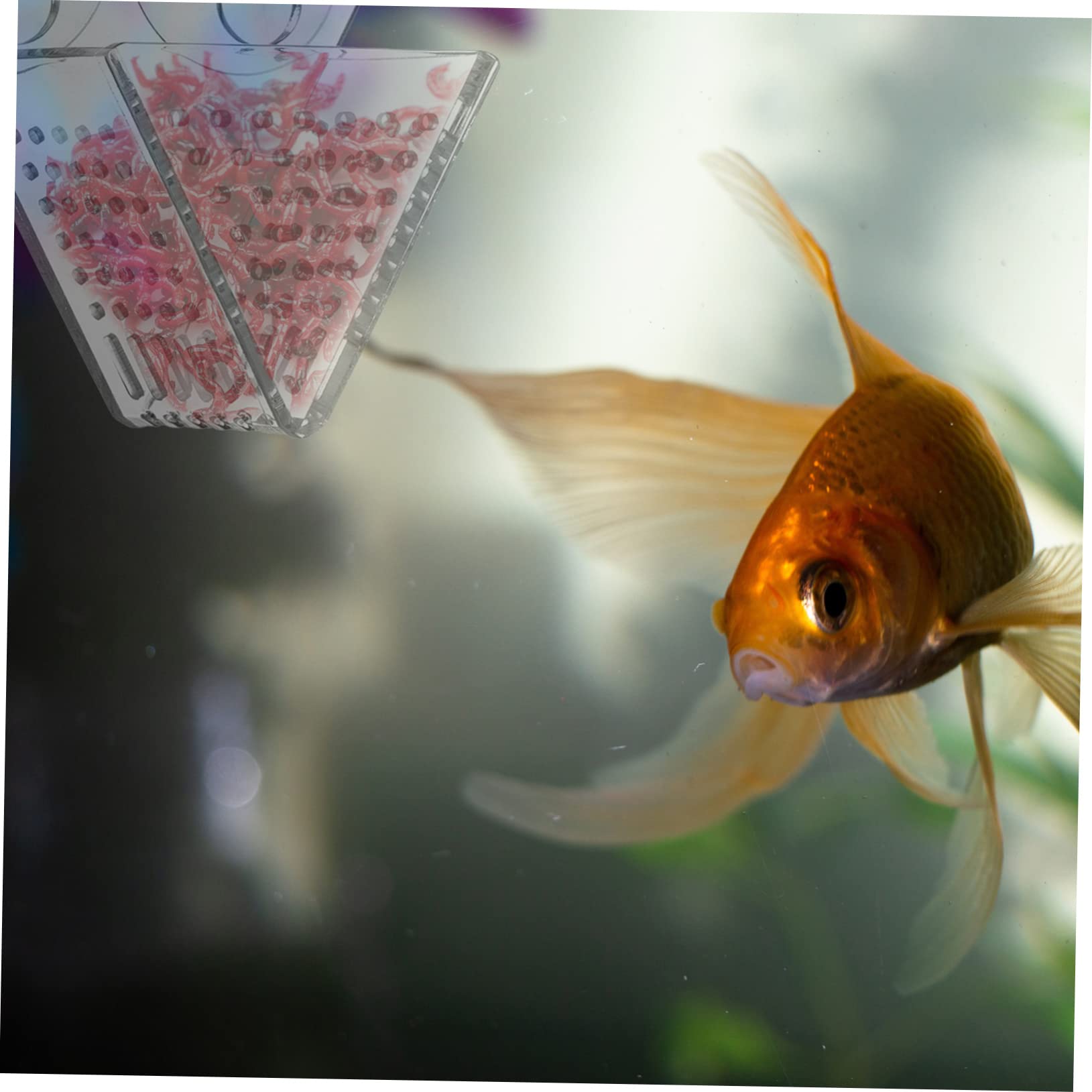 BESPORTBLE 3piezas Alimentador De Acuario Doble Ventosa Dispensador De Comida para Peces Herramienta para Alimentar Gusanos De Accesorio para Tanques De Agua Dulce