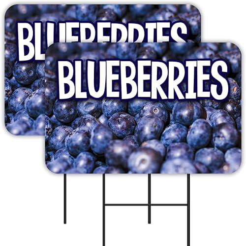Blueberries - Paquete de 2 carteles de patio de 16 x 24 pulgadas, impresión de doble cara, con estacas de metal