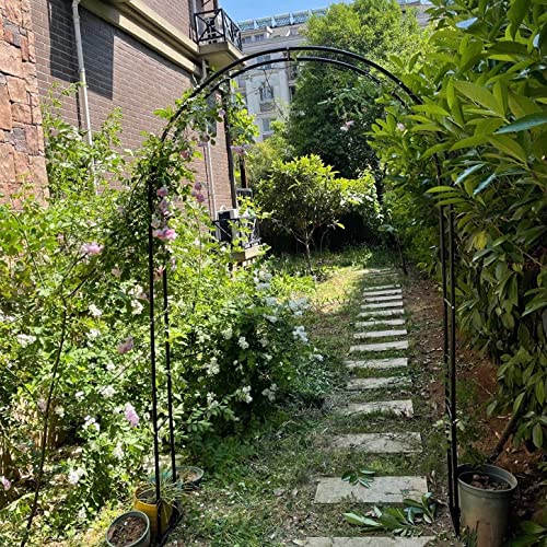 Arco De Rosas De Metal, Arcos De Jardín, Para Plantas Trepadoras Césped Al Aire Libre, Patio De Cumpleaños, Decoración De Fiesta E Boda, Antioxidante Enrejado ( Size : 200x230x40CM/78.7x90.5x15.7in ) Cover