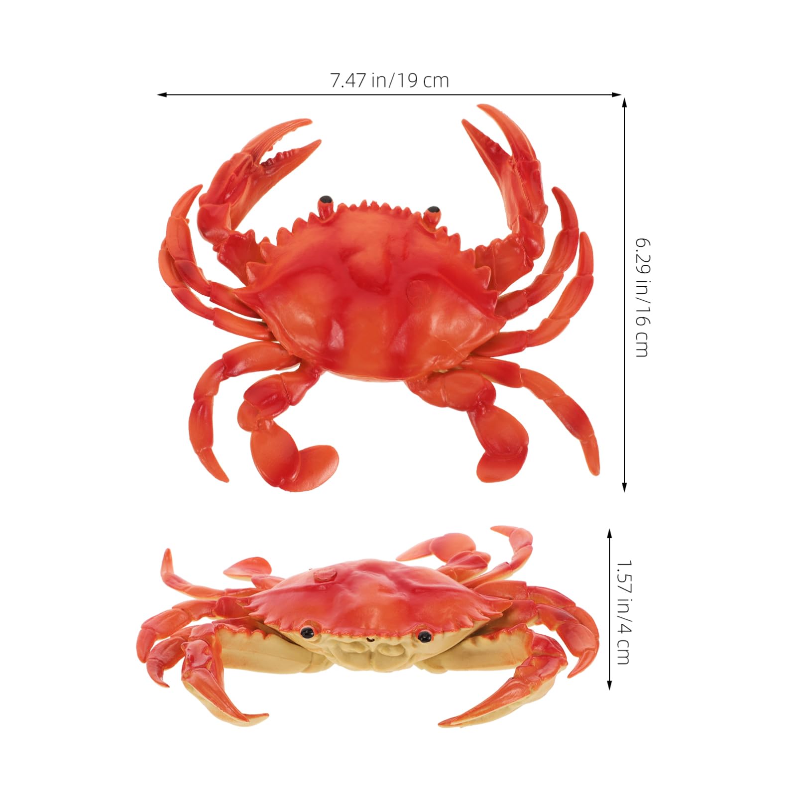SUPVOX Adorable Realistic Crab Model for Ocean Theme Parties Vibrant Decoration for Gardens Photography Lightweight Vinyl Fake Crab with Fine Craftsmanship Authentic Look - Image 2
