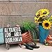 JennyGems Doberman Gifts, All You Need Is Love and a Doberman Wooden Sign, Doberman Dog, Shelf Decor and Wall Hanging, Made in USA
