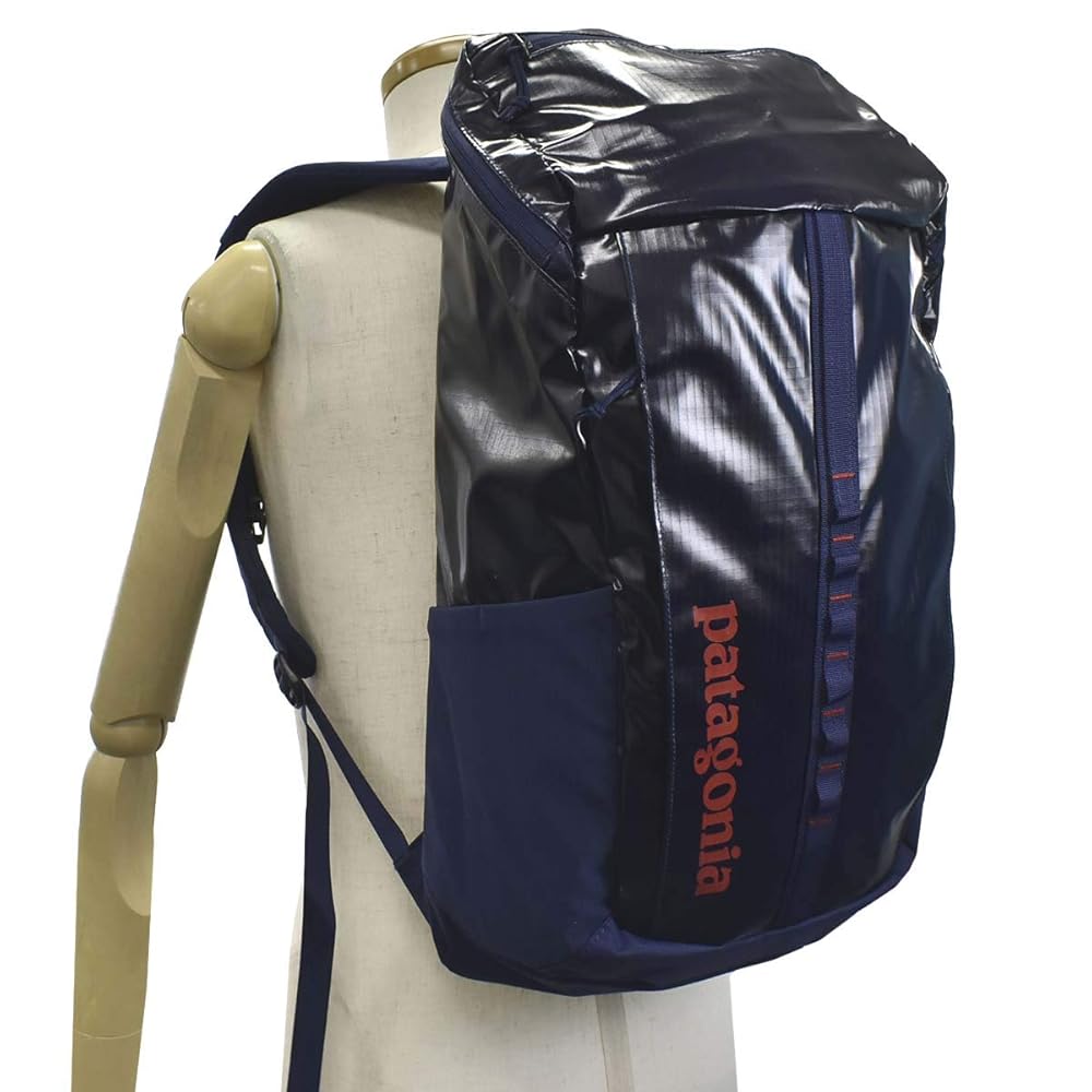 patagonia ネイビー リュック Patagonia ネイビー バックパック パタゴニア - メルカリ