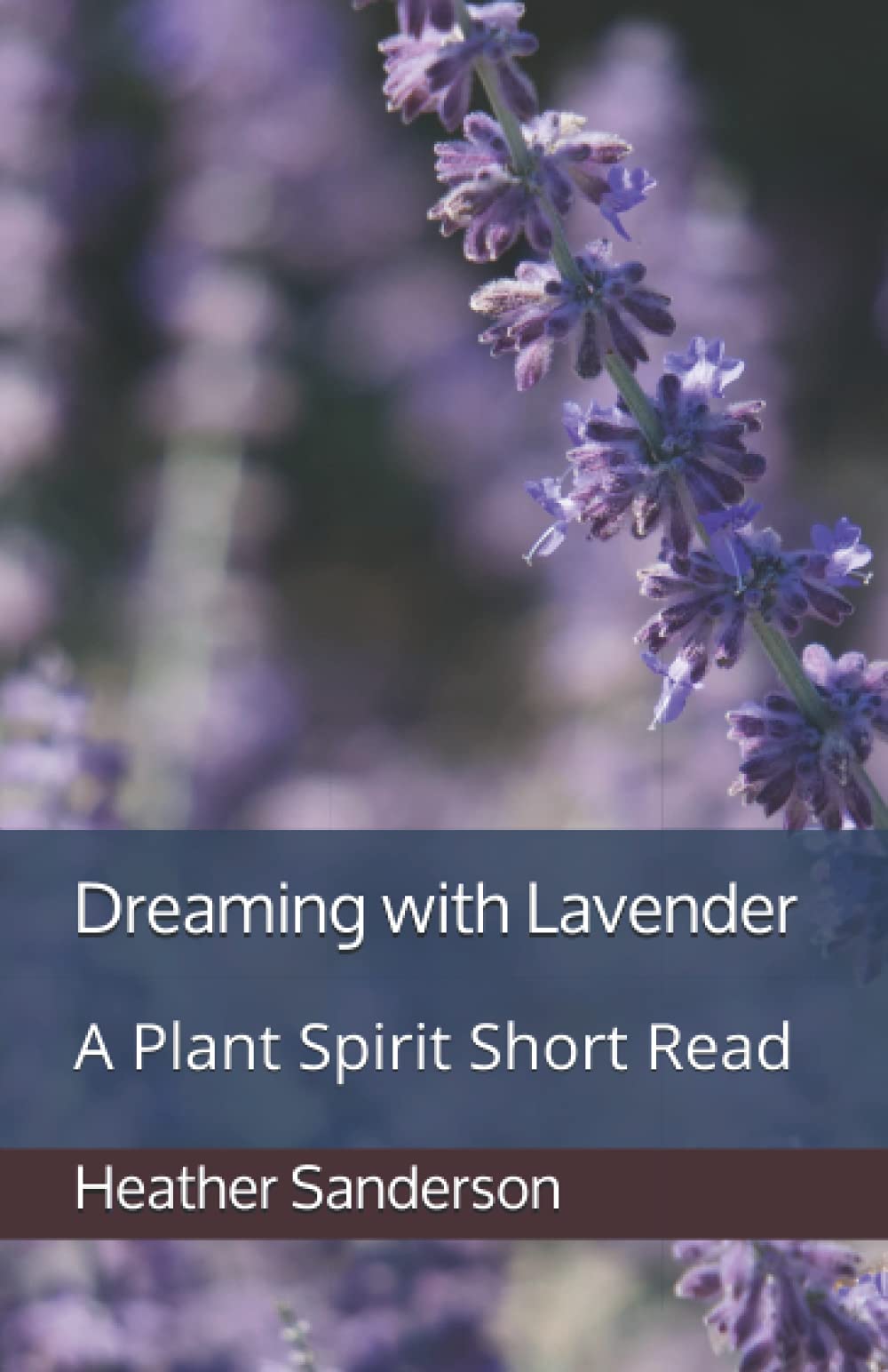 Dreaming with Lavender: A Plant Spirit Short Read (Dreaming with the Plants)