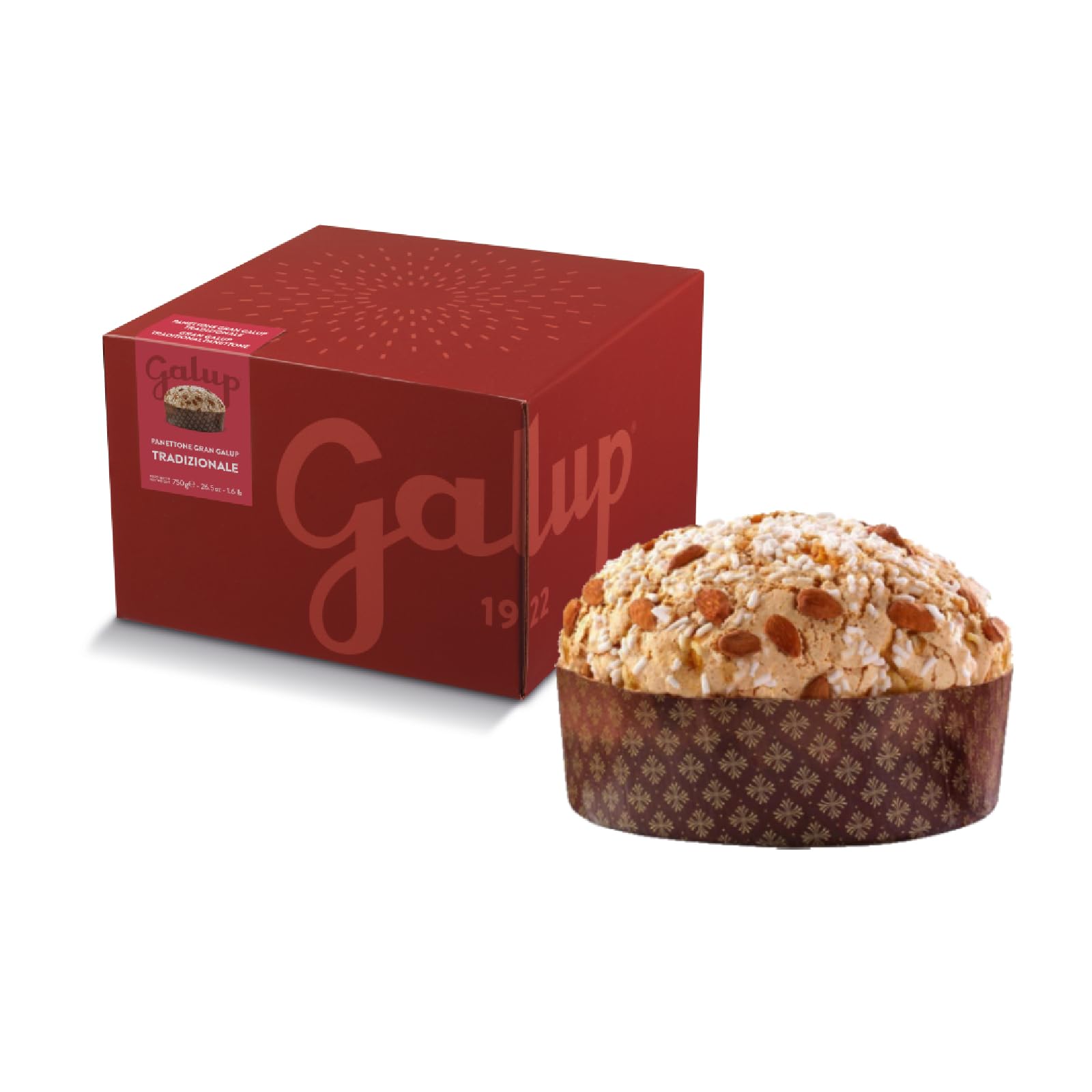 GALUP Panettone Italien, Recette Traditionnelle, Glaçage à la Noisette du Piémont IGP, 1 Kg 8640.0 cubic_centimeters