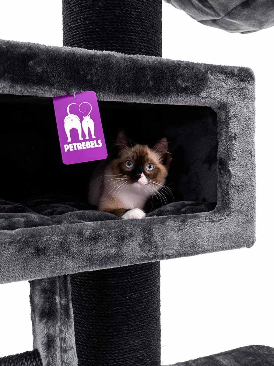 Petrebels Maine Coon Drapak XXL Ragdoll 179 cm XXL Drapak dla dużych kotów, kolor czarny