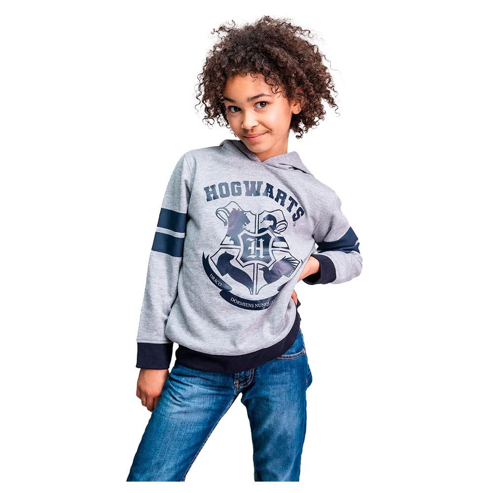 Cerdá Unisex Kid's Sweatshirt, Grey, One Size