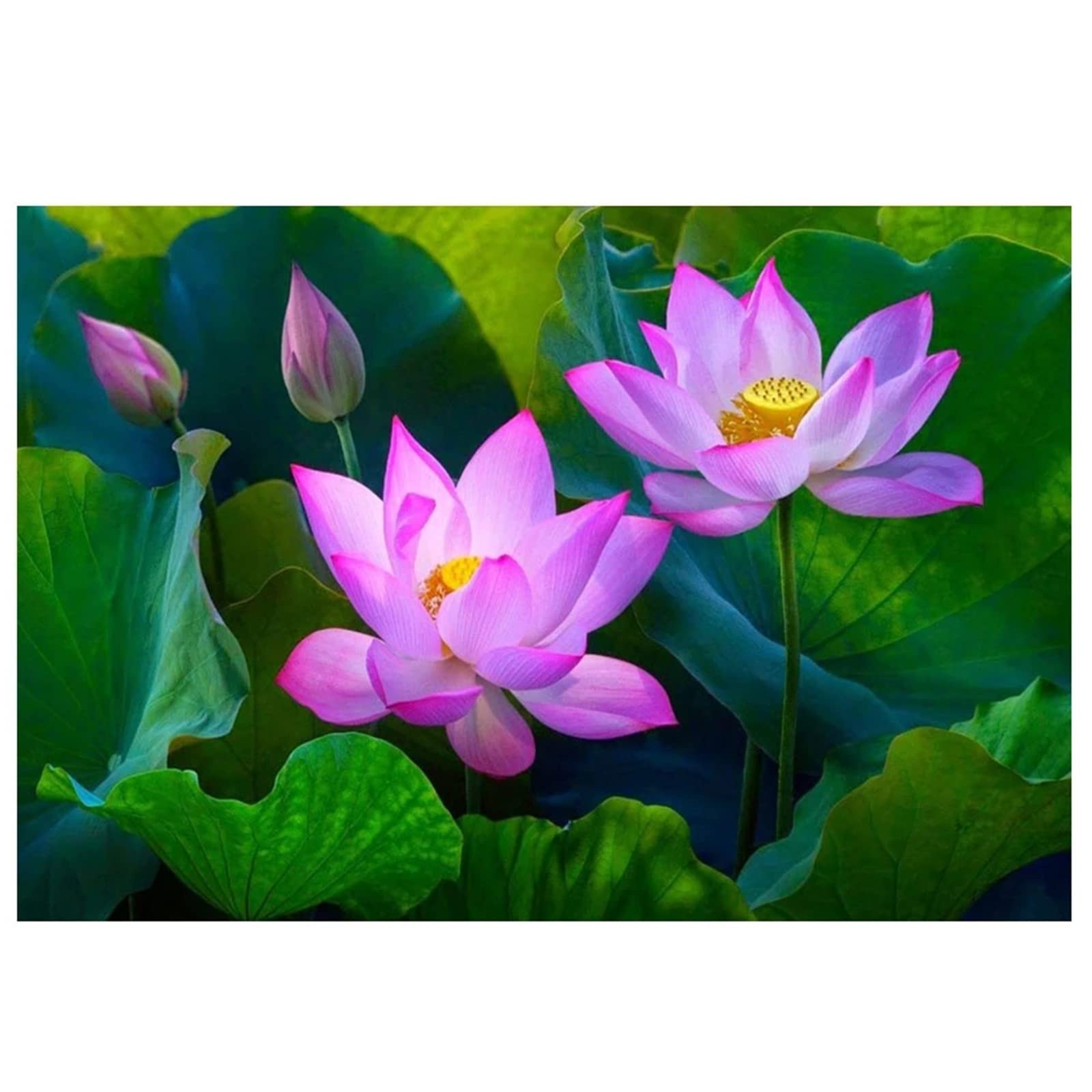 Kit Diamond Painting Fiore Di Loto 40x50cm - Con Perline Adesive Per Adulti, Design Buddha - Foto 9