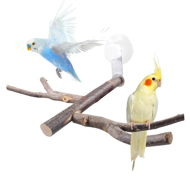 Poleiro para aves de madeira com ventosas SnowTing BirdPerchY, tipo Y duplo, 1 unidade