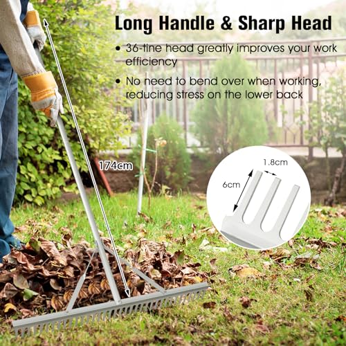 TANGZON 36“/91cm Landscape Rake, Heavy-Duty Aluminum Rake with 174 cm Long Handle, Metal Yard Rake Tool for Loosening Soil Landscaping Lawn Care Garden Lake Pond Beach Care 2 TANGZON 36“/91cm Landscape Rake, Heavy-Duty Aluminum Rake with 174 cm Long Handle, Metal Yard Rake Tool for Loosening Soil Landscaping Lawn Care Garden Lake Pond Beach Care - Image 2