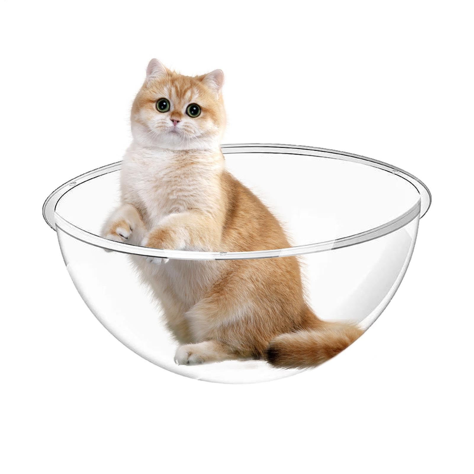 Dôme en acrylique pour chat anti-rayures de haute transparence
