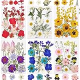 CONVELIFE Dried Flowers for Resin, 103pcs Natural Flowers and Leaves Compressed, Vacuum Packed DIY Pressed Flowers for Epoxy, Jewelry, Candles, Soap, Nail Production