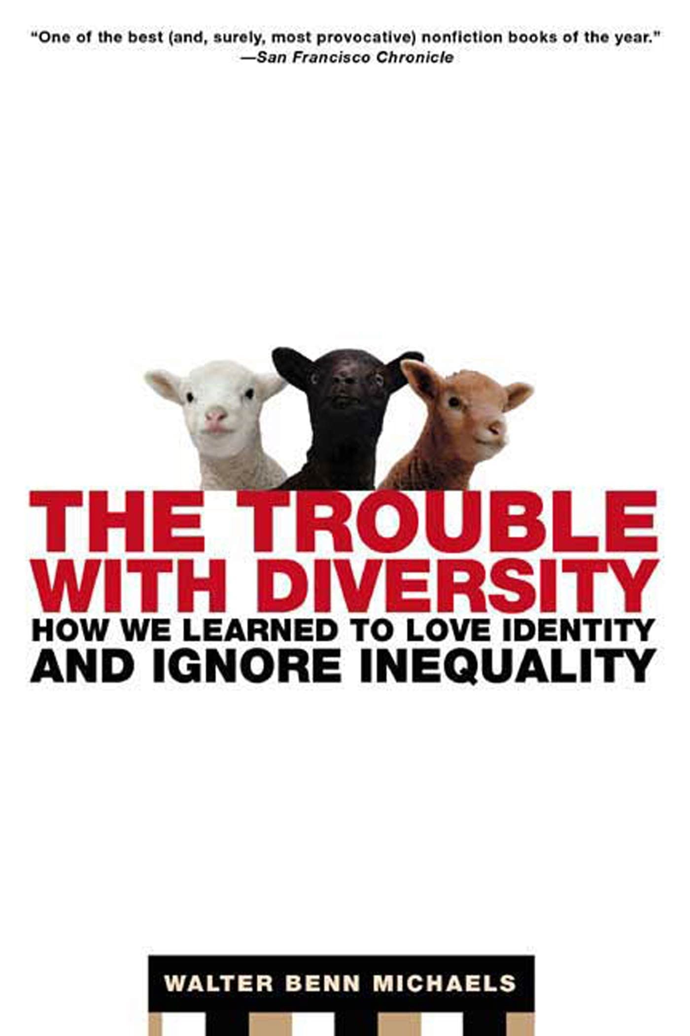 Buy The Trouble with Diversity: How We Learned to Love Identity and Ignore Inequality — BookShops.in