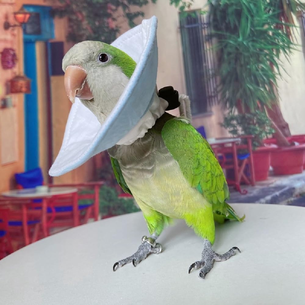 Parrot Neck Collar Pet Anti-bite Picking Feather Healing Protective Neck Cover Collar for Birds (4XL)