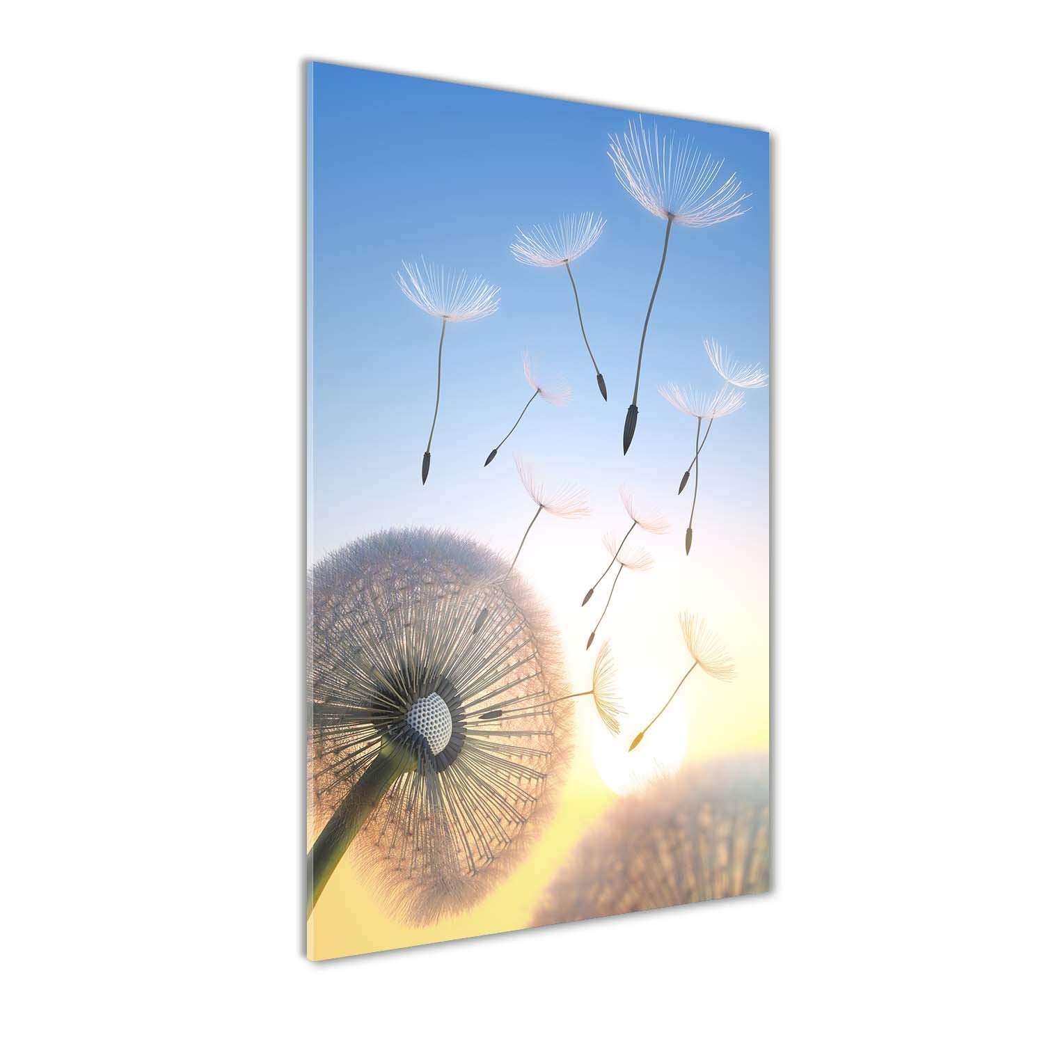 Image panorama pissenlit bleu en verre 60x120 cm pour illuminer votre salon moderne