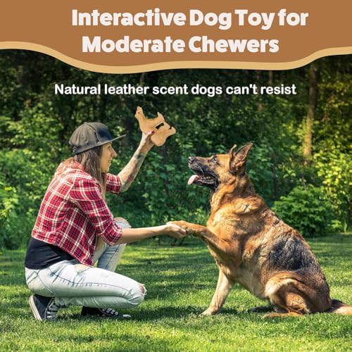 Jouets pour chien ours Ethical Animaux à coutures renforcées - 3