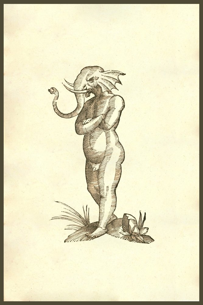 ELEPHANT 2冊 Elephant in the Dark by EINHORN, Jay (CD, 2012) 827836021197