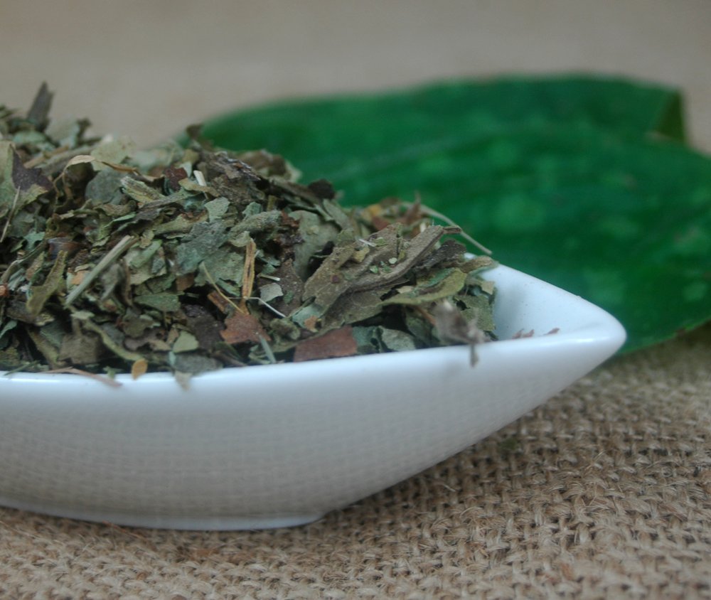 Naturix24 Herbata płucna, pleść płucna, 1 woreczek