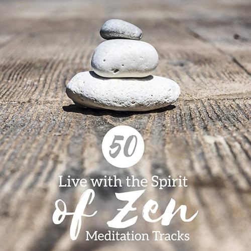 Everything Is Changing All The Time By Zen Meditation Music Academy On Amazon Music Amazon Com