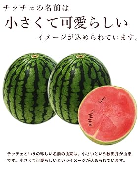 Amazon.co.jp: すいか JA秋田ふるさと あきた夏丸チッチェ 2玉