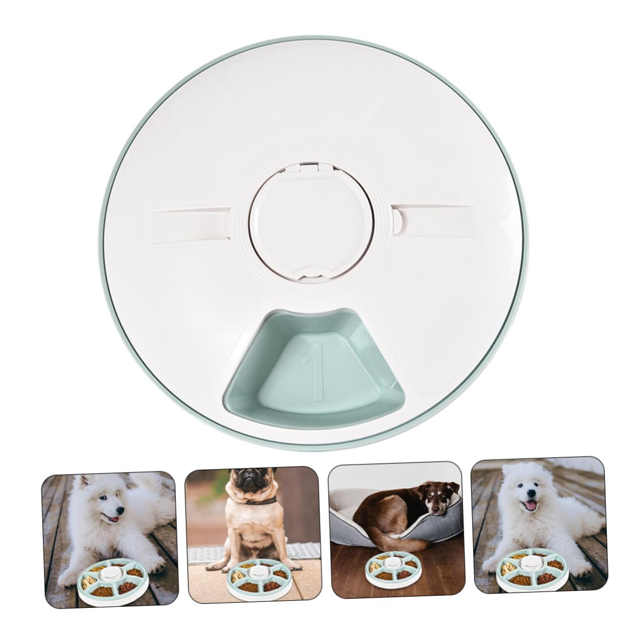 Comedero Automático Fácil de Limpiar y Ahorro de Espacio para Perros y Gatos 6 Comidas Programables Temporizador Inteligente Material Abs Verde Adecuado para Colocar Esquina