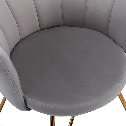 Anwickmak Modern Velvet Accent Chair Set of 2, Accent Chair for Living Room Bedroom