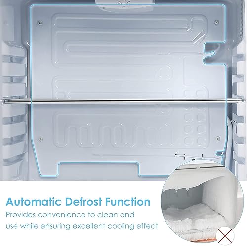 Miniatura 7 de LDAILY Refrigerador compacto, mini refrigerador de 2.4 pies cúbicos con temperatura ajustable de 32  a 50 , descongelación automática, puerta