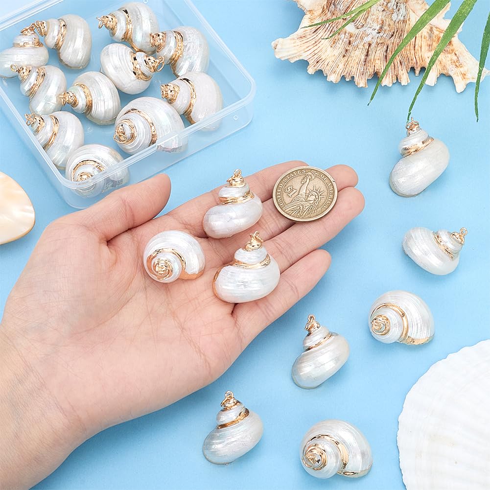 PH PandaHall 20pz Ciondoli Conchiglia Spirale Pendenti Conchiglie Marine, Oro e Bianco Ciondoli Conchiglia Marina Grande per la Creazione di Gioielli Collane Orecchini Artigianato Fai Da Te