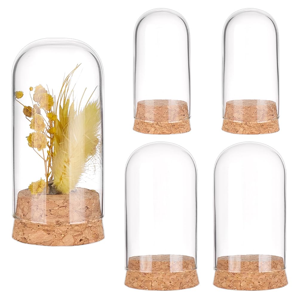 Petites bouteilles en verre et cloche transparente pour mini plante et artisanat