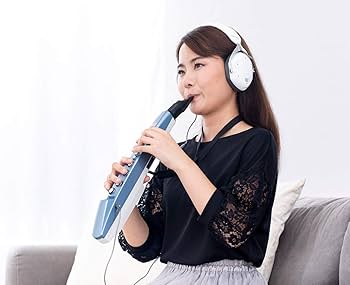 Amazon.com: Roland AE-01 Aerophone mini | Compact Digital