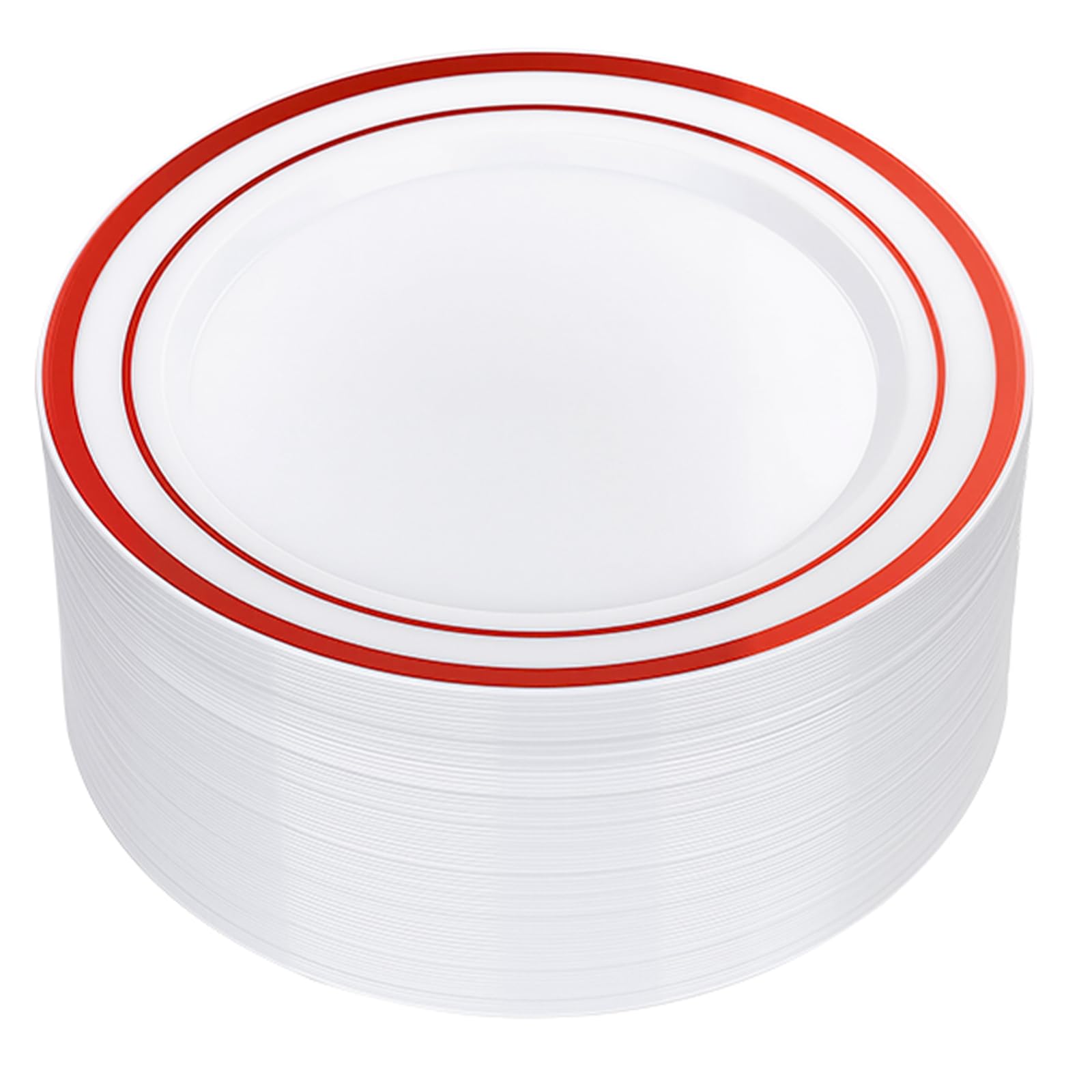 Silver Disposable Plates - 100 Pack -16