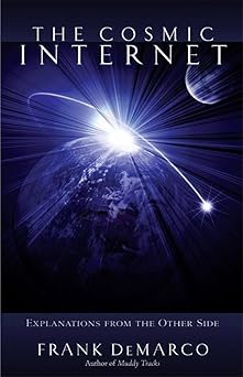 The Cosmic Internet: Explanations from the Other Side