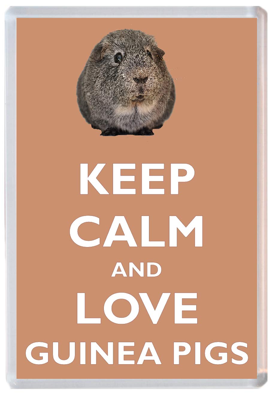 Baked Bean Store Keep Calm And Love Guinea Pigs - Fridge Magnet 96 X 67 Mm Jumbo Size Bbsm1624