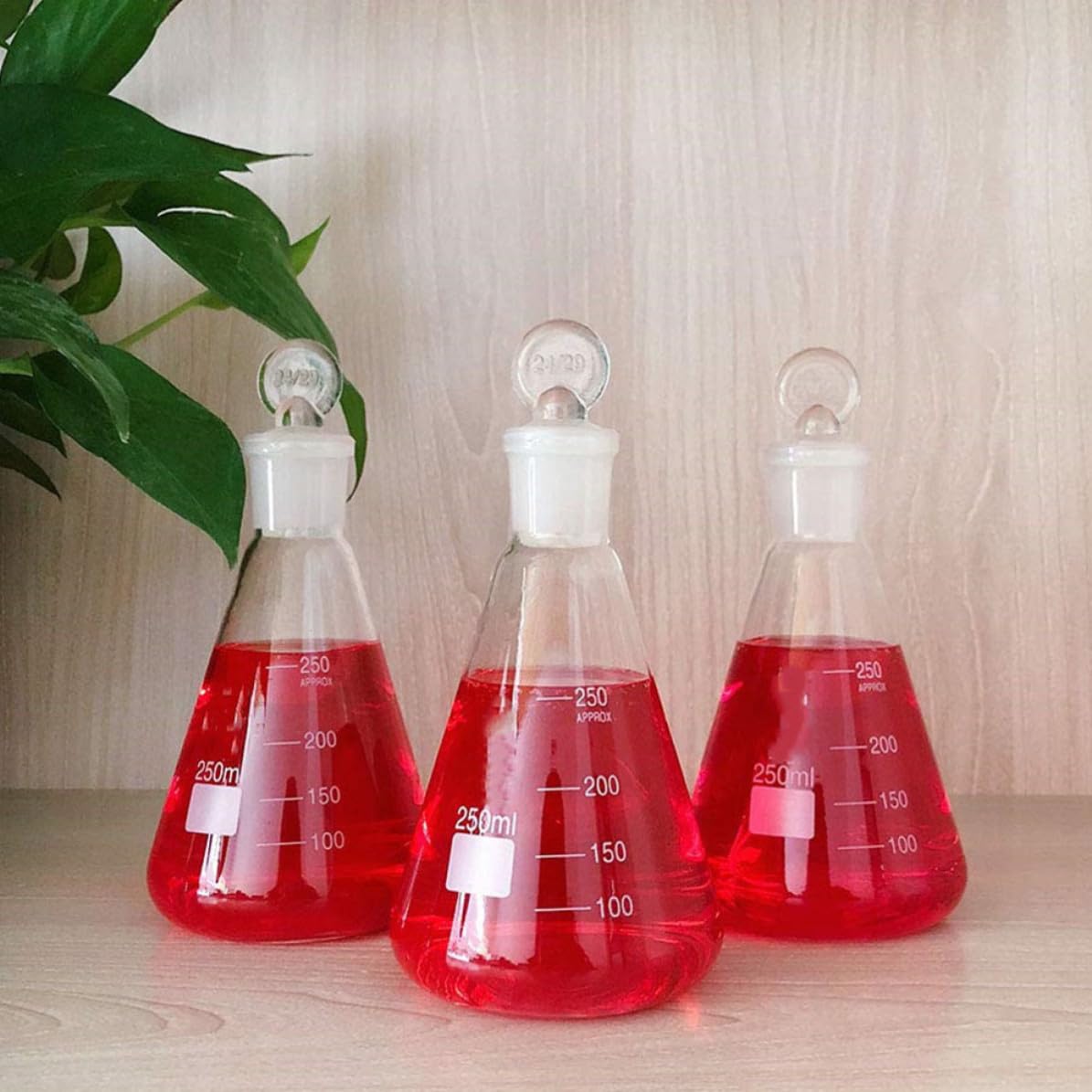 Beute Coniche Scala Chiara Set di 3 da 250ml con Tappo in Vetro e Design per Esperimenti e Lezioni di