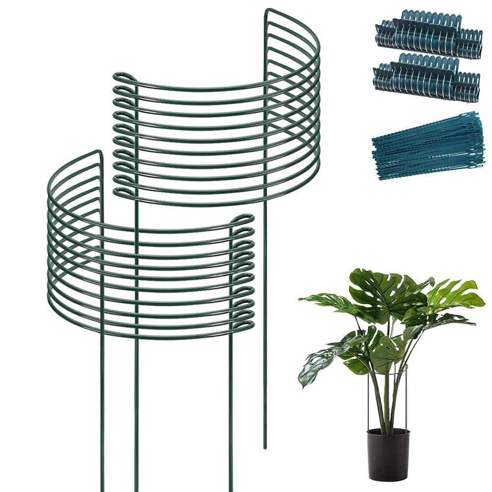 TCBWFY 20 Pack Garden Plant Support Stakes,10" Widex16 High Heavy Duty Interlinked Half Round Peony Support Ring Cage for Indoor Outdoor Plants,Plant Supports for Peony,Tomato,Hydrangea,Rose