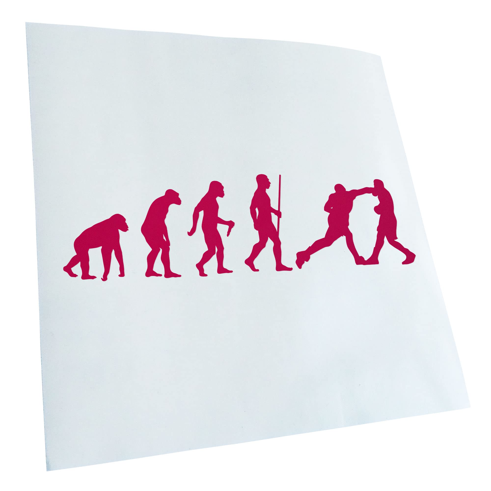 Kiwistar Boxing Knockout Evolution II Sticker 25 Colours Neon Matt
