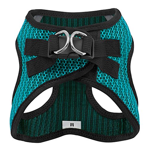 Voyager Step-In Air Dog Harness - All Weather Mesh Step In Vest Harness For Small And Medium Dogs By Best Pet Supplies - Turquoise (2-Tone), M #TOP1