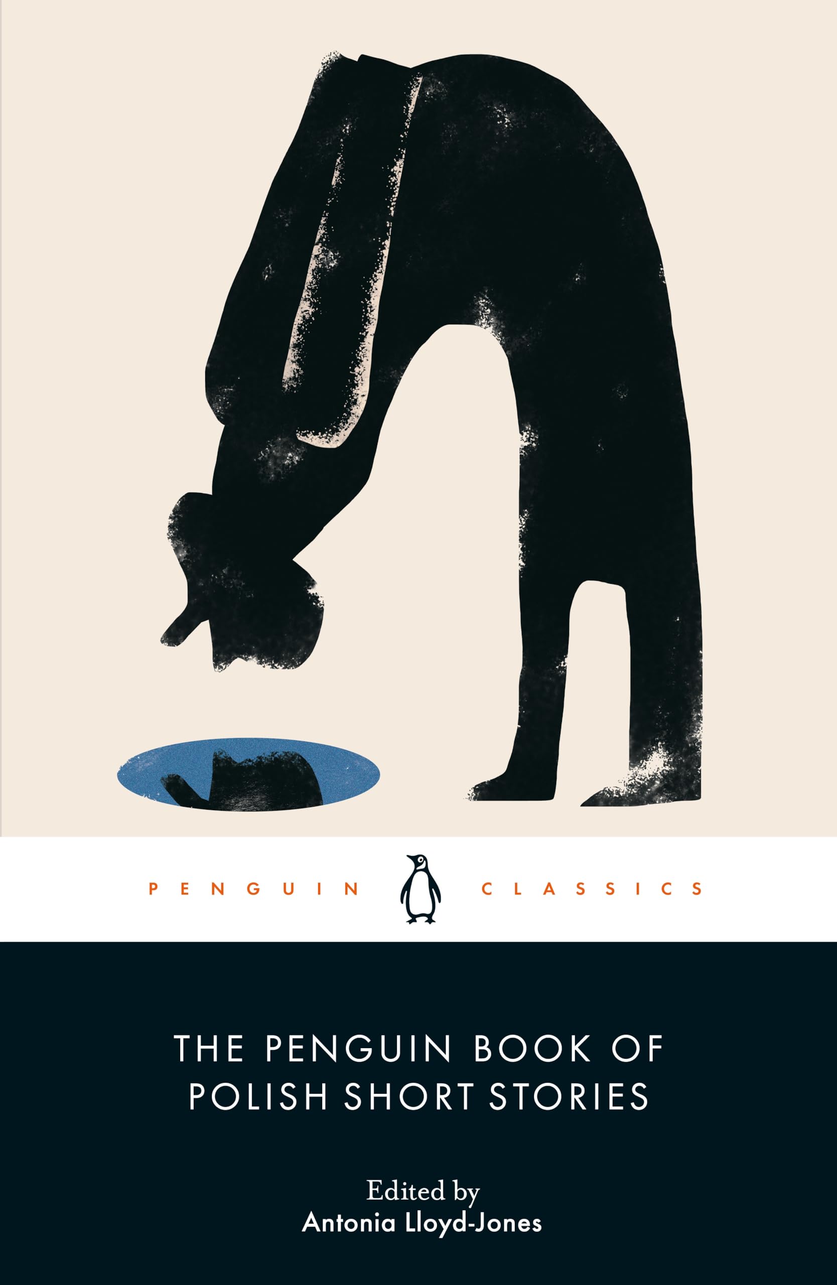 The Penguin Book of Polish Short Stories (Paperback Book)