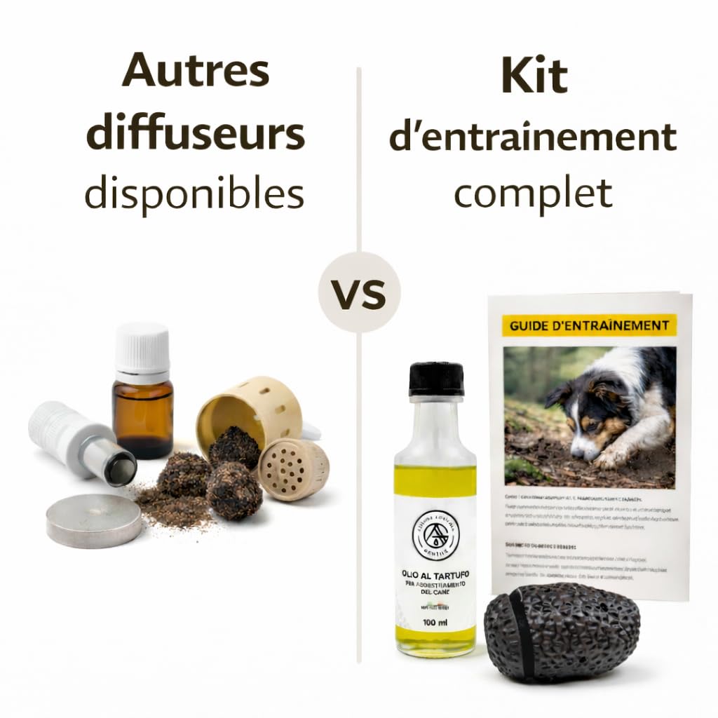 Kit Professionale con Finto Tartufo Nero Completo con Guida e Olio da addestramento Cani Tartufo addestramento Cane da Tartufo, Tartufo Sintetico ovetto per addestramento