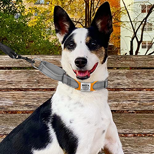 TagME 2er Pack Hundemarke/Hundemarke mit Gravur für Hunde für Kleine und Mittelgroße Hunderassen, Personalisierbar, Orange, XL