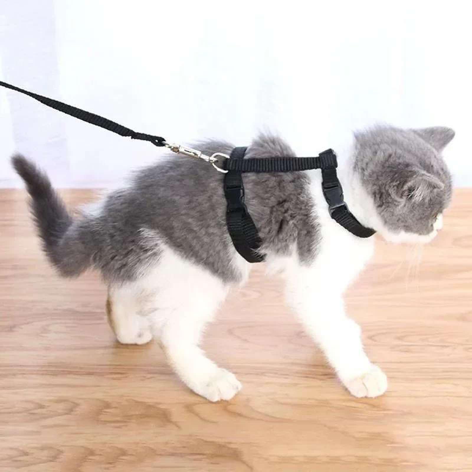 Harnais léger réglable pour Chat et Laisse Ensemble Escape pour Promenade Voyage Petits Animaux Harnais pour Chiot