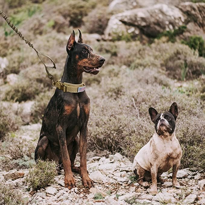 Miniatura 6 de Collar táctico para perro con velcro, collar de perro de nailon ajustable con hebilla de metal resistente, collar militar K9 con asa, collar de