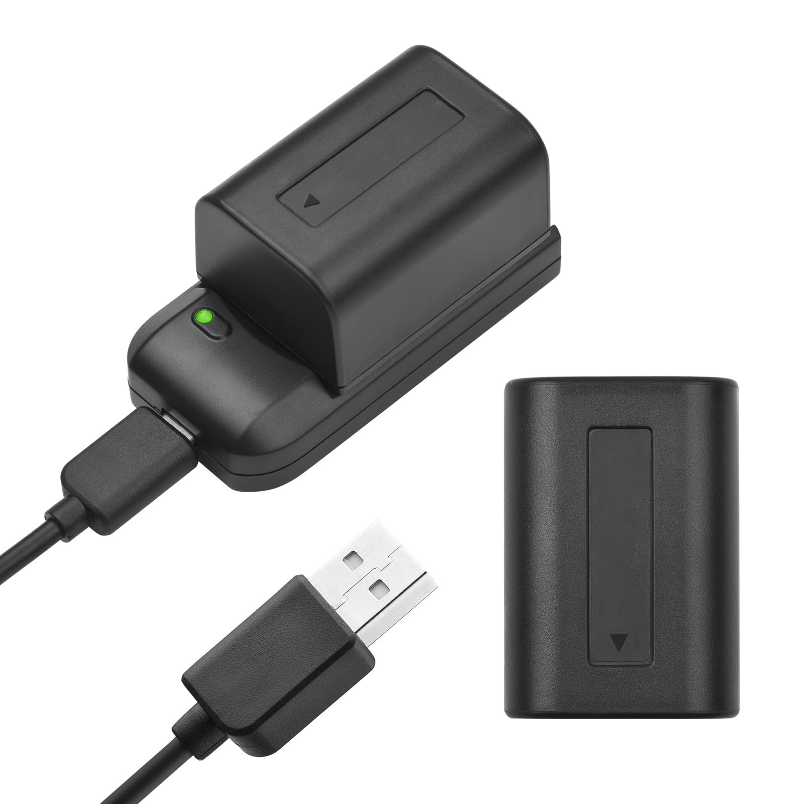 Andoer Chargeur de batterie NP-FV5 avec voyant LED + 2 batteries NP-FV5 Plus 3,7 V 1000 mAh avec câble de charge USB
