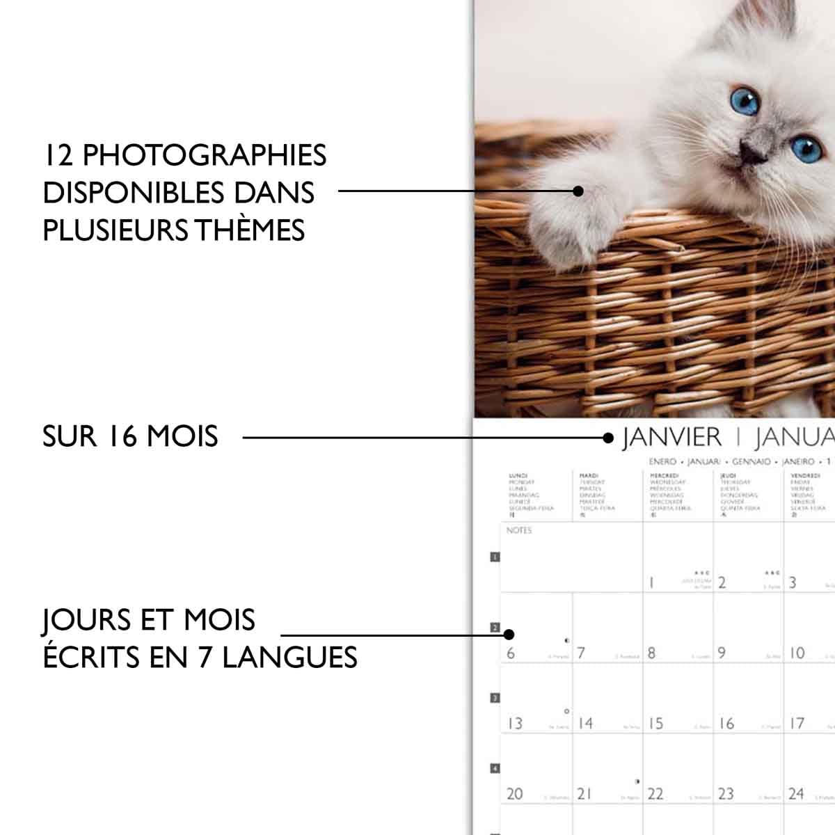 Large Wall Calendar 29 x 29 cm 2025, September 2024 to December 2025-15 Months, Days and Months Written in 7 Languages - Image 4