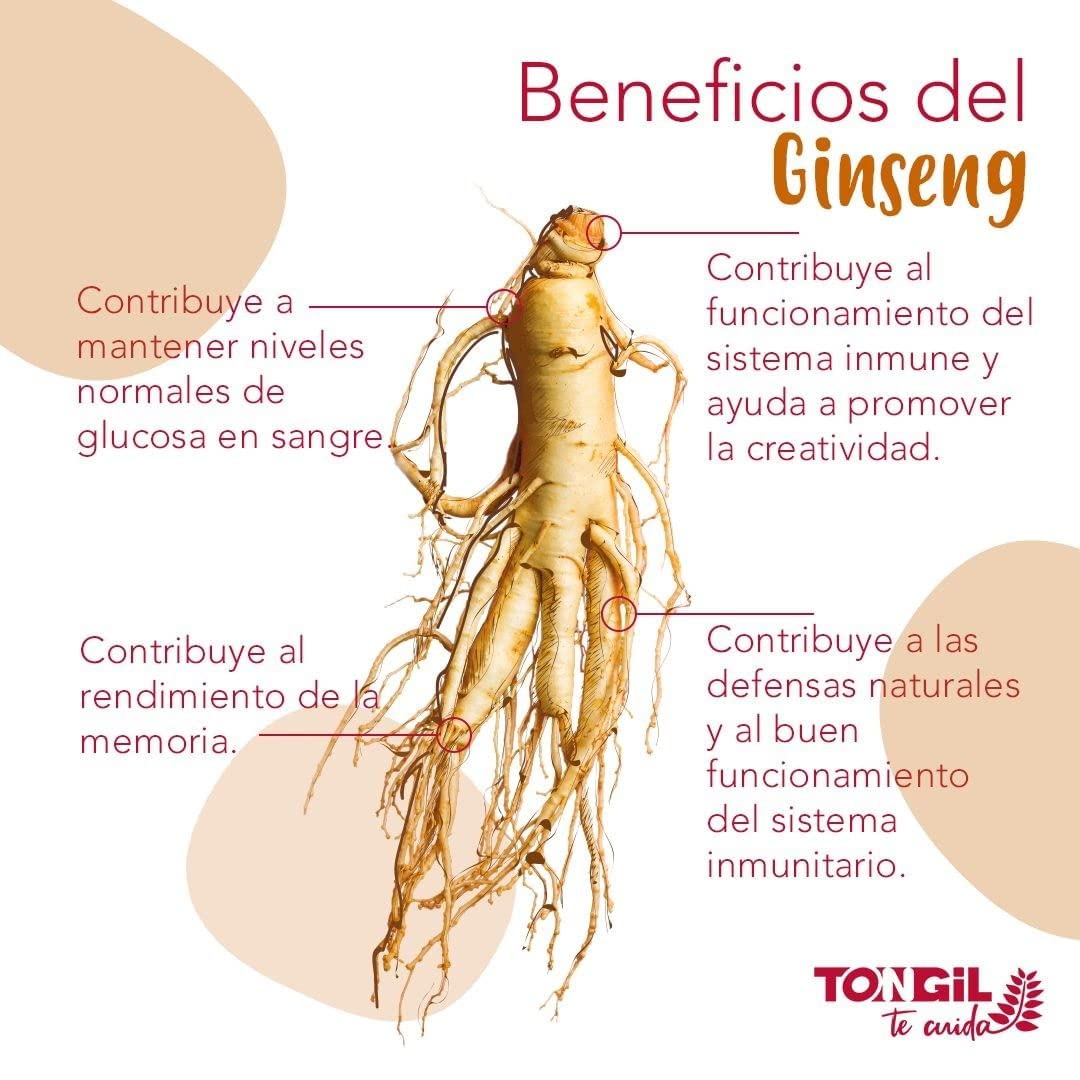 TONGIL GINSENG IL HWA suplement diety w kapsułkach 100 kapsułek