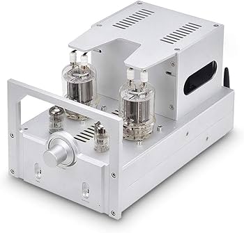 Amazon.co.jp: BRZHIFI 真空管アンプ FU29 クラスA プリメインアンプ